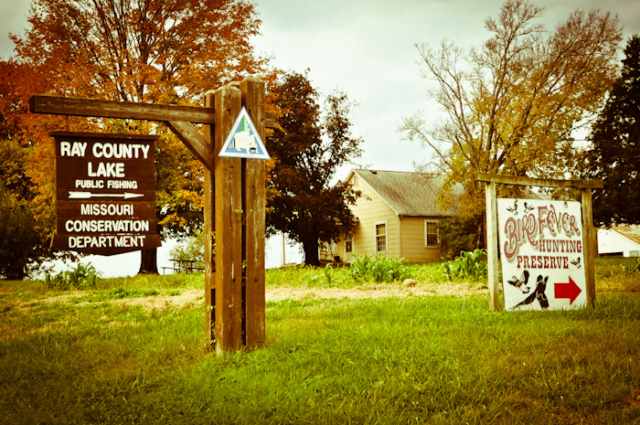 Quail, Chukar & Pheasant Hunting Guided Hunts