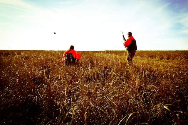 Quail, Chukar & Pheasant Hunting Guided Hunts