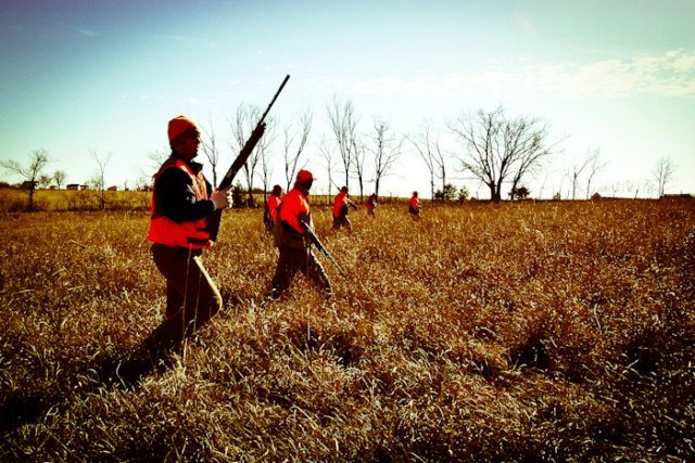 Quail, Chukar & Pheasant Hunting Guided Hunts