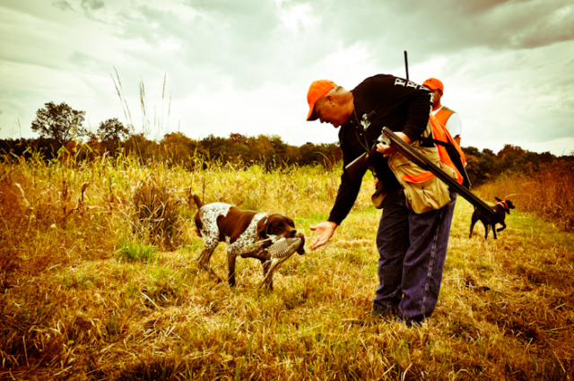 Quail, Chukar & Pheasant Hunting Guided Hunts