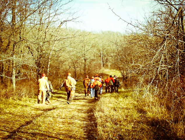 Quail, Chukar & Pheasant Hunting Guided Hunts